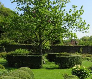 Landschapsarchitectuur