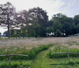 Landschapsarchitectuur