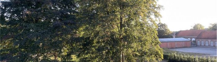 wonen-in-baeyenshof-essen (4)